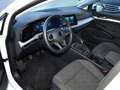 Volkswagen Golf VIII 1.0 TSI Life PDC SHZ App-Connect Blanc - thumbnail 12