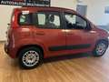 Fiat Panda 1.2 Lounge 51 kw - thumbnail 5