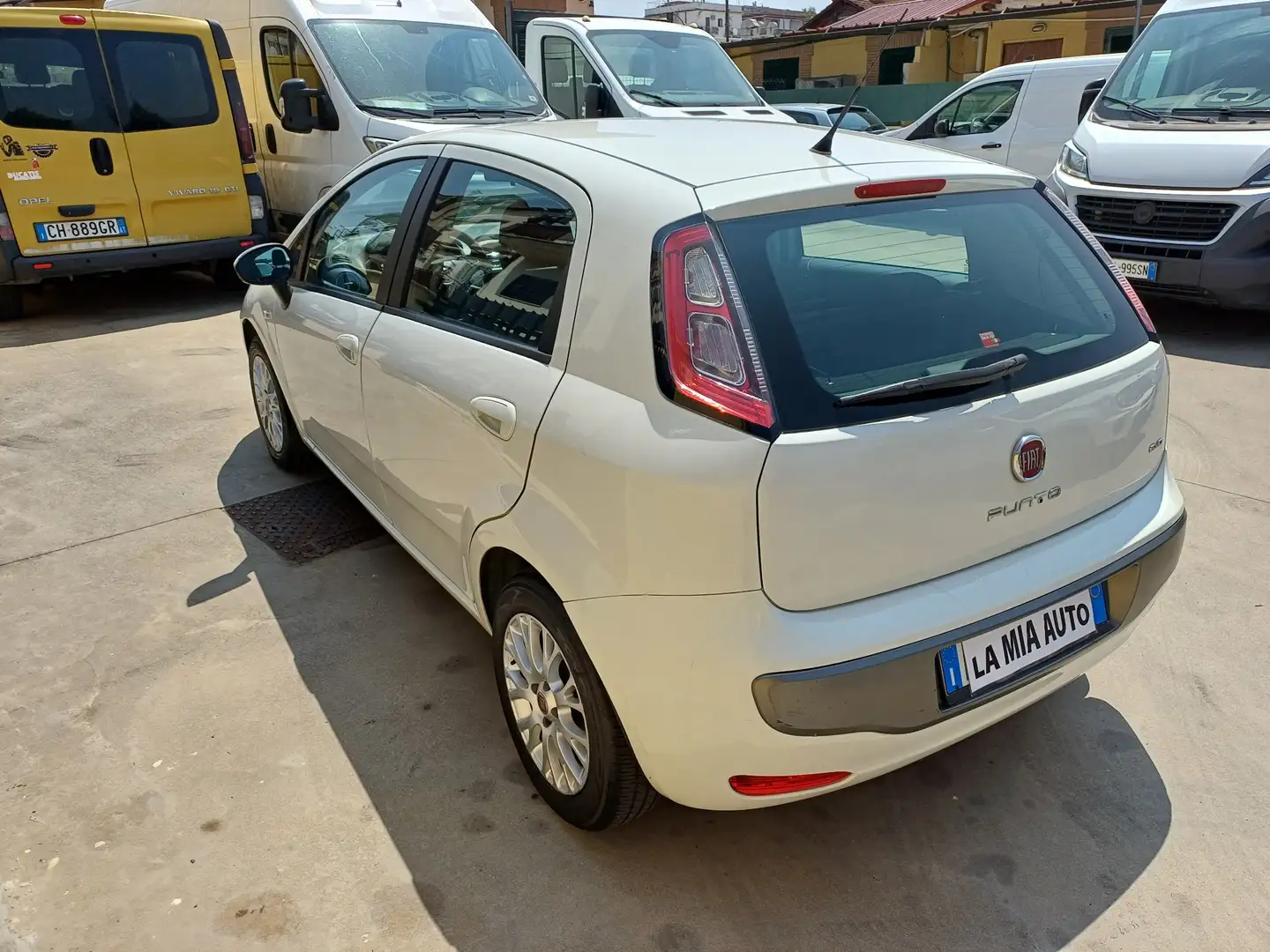 Fiat Punto Evo 5p 1.3 mjt Dynamic s Wit - 1