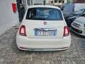 Fiat 500 1.2 DOLCEVITA GPL OK NEOPATENTATI Bianco - thumbnail 5