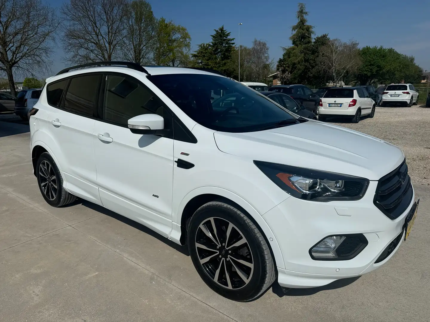 Ford Kuga Kuga 2.0 tdci ST-Line Business s Blanc - 2