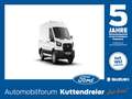 Ford Transit Kasten 2.0 TDCi 350 L2 Trend SpurH PDC Blanc - thumbnail 1
