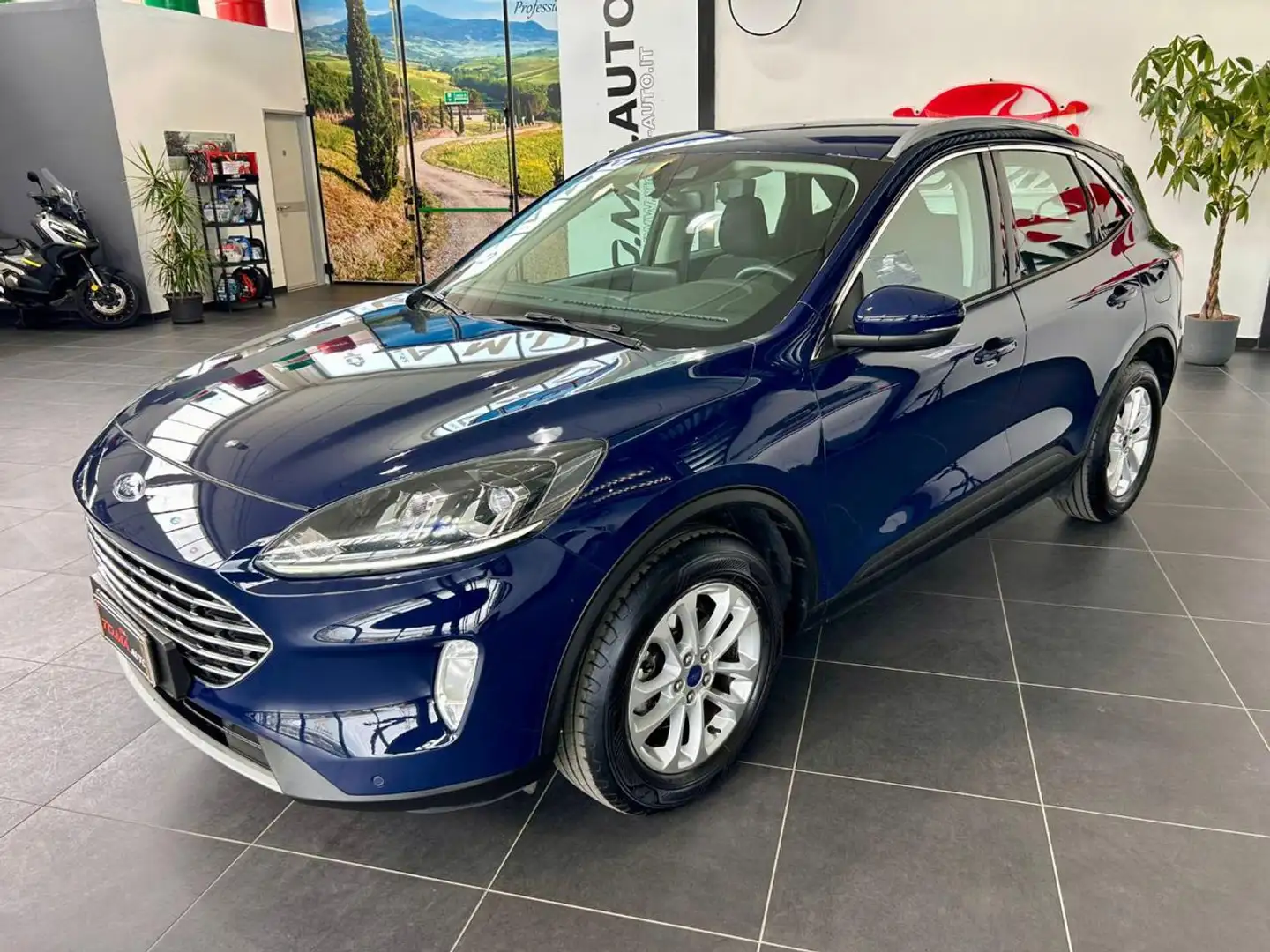 Ford Kuga 1.5 EcoBlue 120 CV 2WD Titanium Business Blu/Azzurro - 1