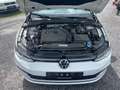 Volkswagen Golf Life*2-HAND*65.000Km*TÜV/AU 04/2025* Weiß - thumbnail 14