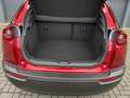 Mazda MX-30 E-SKYACTIV 145 FIRST EDITION 36 KWH I UNIEKE KM-ST Rouge - thumbnail 13