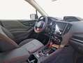 Subaru Forester 2.0ie Exclusive Cross MJ24 Gris - thumbnail 9