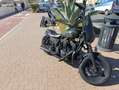 Harley-Davidson Sportster 883 Verde - thumbnail 2