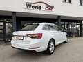 Skoda Superb Kombi 2,0 TDI Style DSG Matrix-Virtual-ACC Weiß - thumbnail 12