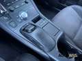 Lexus CT 200h Business Line Pro|XENON|CAMERA|GOED ONDERHOUDEN|LM Wit - thumbnail 20