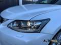 Lexus CT 200h Business Line Pro|XENON|CAMERA|GOED ONDERHOUDEN|LM Wit - thumbnail 30