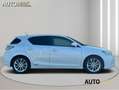 Lexus CT 200h Business Line Pro|XENON|CAMERA|GOED ONDERHOUDEN|LM Wit - thumbnail 17