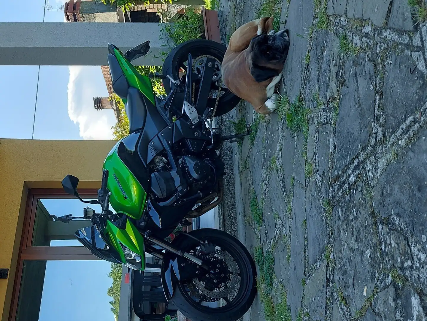 Kawasaki Z 750 Зелений - 2