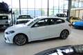BMW 135 M135i xDRIVE NEUES MODELL 306PS ACC NAVI ALU18 TOP Blanc - thumbnail 4
