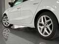 SEAT Ibiza FR 1.6 TDI Blanc - thumbnail 11