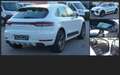 Porsche Macan S PANO Sport/Aero BOSE  Voll Leder 4x SitzHzg 1.Ha Blanc - thumbnail 1