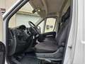 Opel Movano C Kasten HKa L2H2 3,5t TÜV / SERVICE NEU Weiß - thumbnail 11