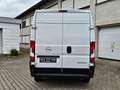 Opel Movano C Kasten HKa L2H2 3,5t TÜV / SERVICE NEU Weiß - thumbnail 7
