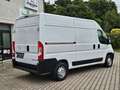 Opel Movano C Kasten HKa L2H2 3,5t TÜV / SERVICE NEU Weiß - thumbnail 6