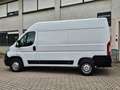 Opel Movano C Kasten HKa L2H2 3,5t TÜV / SERVICE NEU Weiß - thumbnail 10