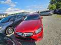 Mercedes-Benz C 220 C 220 d T 9G-TRONIC Avantgarde Rouge - thumbnail 6
