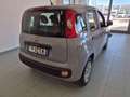 Fiat Panda 1.2 Easy Grigio - thumbnail 11