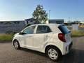 Kia Picanto Edition 7 1Hand Klima Scheckh.komplett Blanc - thumbnail 6