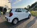 Kia Picanto Edition 7 1Hand Klima Scheckh.komplett Blanc - thumbnail 4