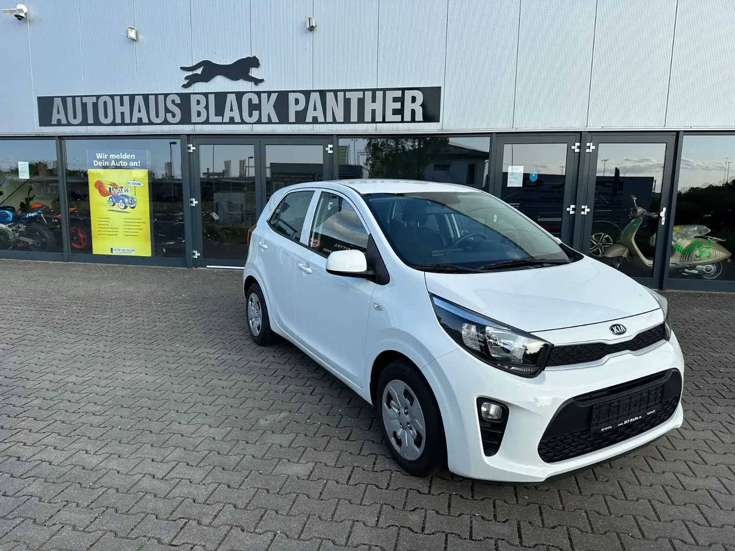 Kia Picanto Edition 7 1Hand Klima Scheckh.komplett Blanc - 1