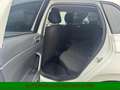 Volkswagen Polo 1.0 TSI*LED*Bluetooth*Allwetter*PDC*IsoFix* Blanc - thumbnail 15