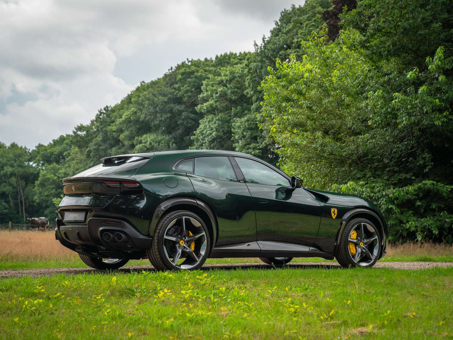 Ferrari Purosangue -  - Joinsteer - #5