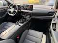 Nissan X-Trail Tekna 1.5 VC-T e-POWER ACC+AUT+LED+Navi Grau - thumbnail 12
