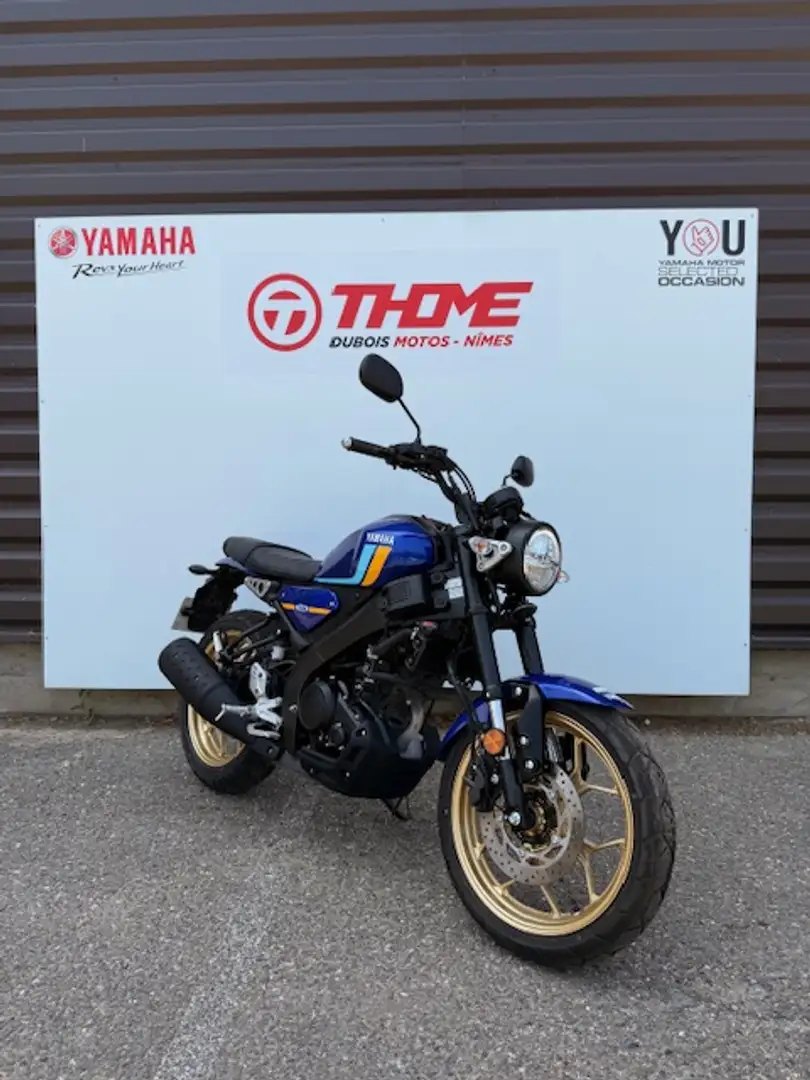 Yamaha XSR 125 Bleu - 2