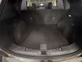 Ford Kuga 2.0 ecoblue mhev Connect 2wd 150cv Сірий - thumbnail 9