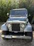 Jeep CJ-5 Spettacolare! - thumbnail 4