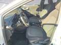 Ford Puma 1.0 EcoBoost Mild-Hybrid ''ST-Line'' Rückfahrkamer Wit - thumbnail 11