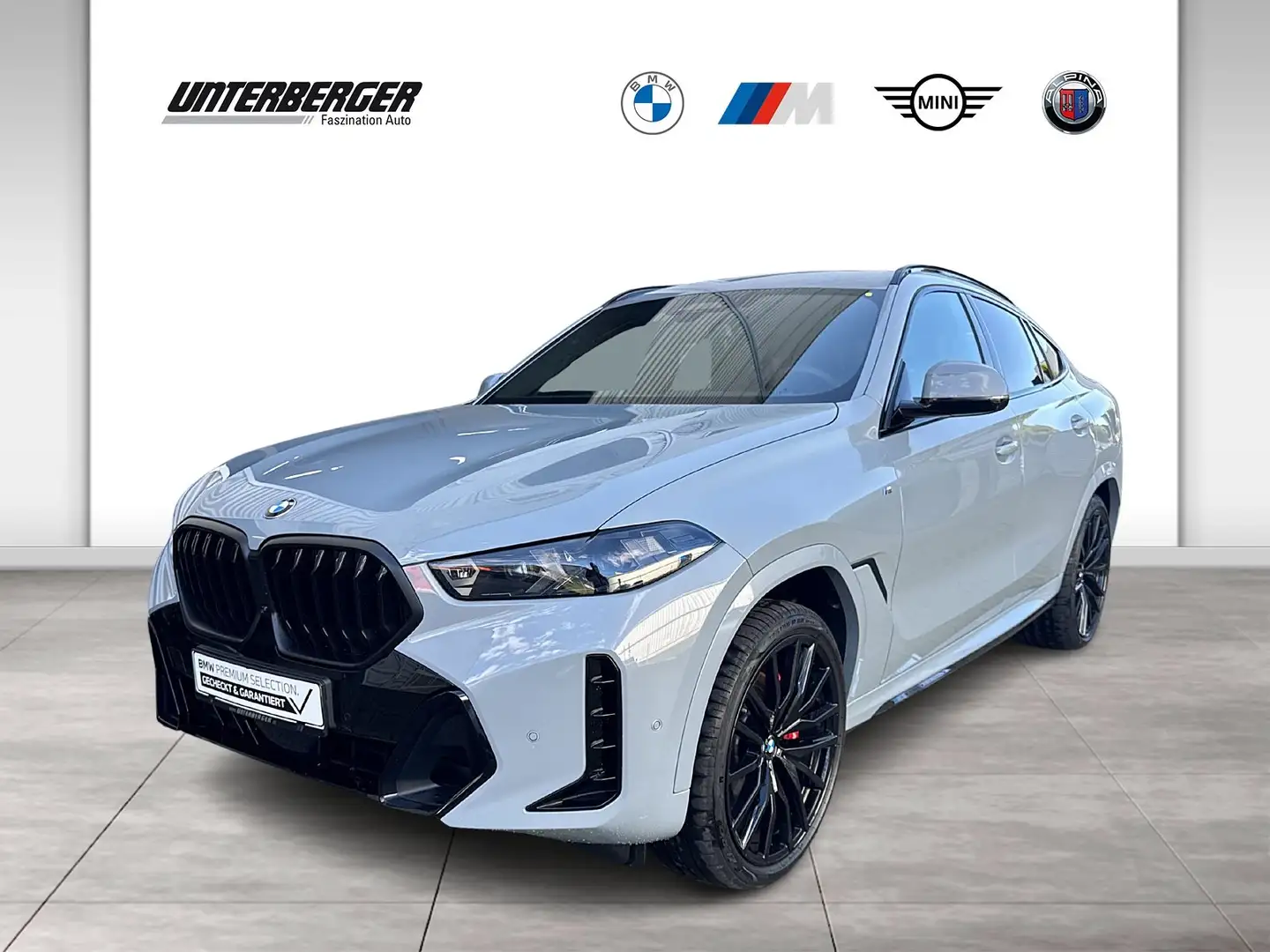 BMW X6 xDrive30d M Sport Gestiksteuerung HK HiFi Grau - 1