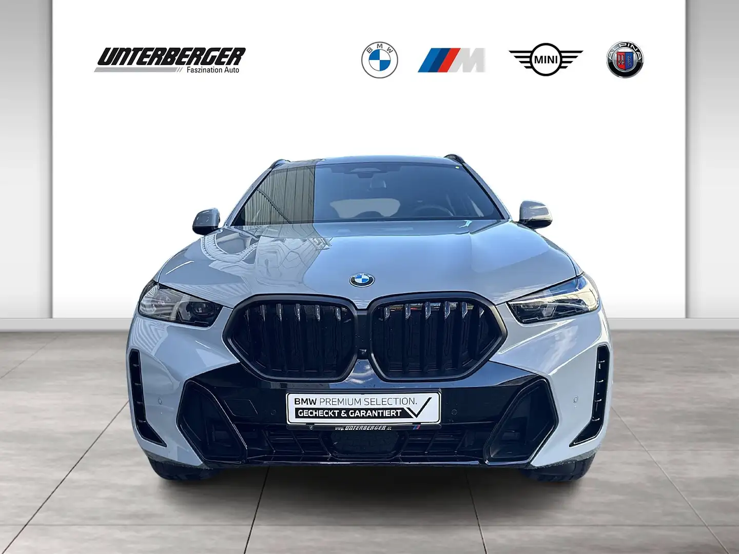 BMW X6 xDrive30d M Sport Gestiksteuerung HK HiFi Grau - 2