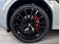BMW X6 xDrive30d M Sport Gestiksteuerung HK HiFi Grau - thumbnail 6