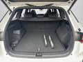Skoda Kodiaq RS 2,0 TSI DSG 4x4 Pano/ AHK/ Head-up/ Fa Weiß - thumbnail 15
