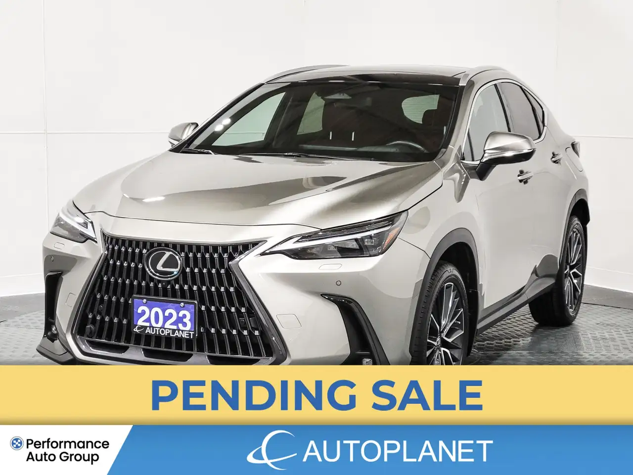 2023 Lexus NX