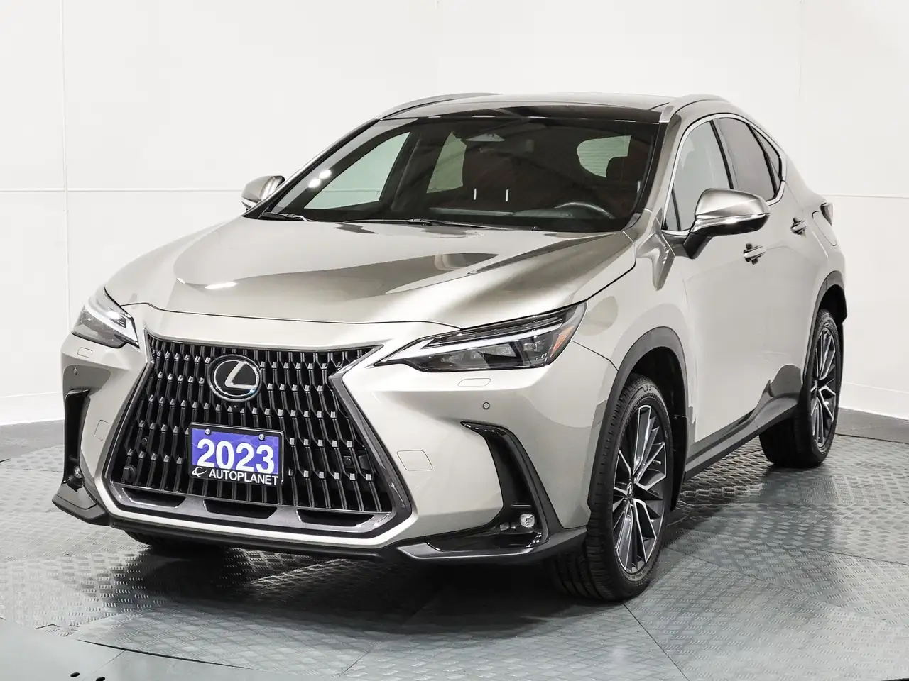 Lexus NX fotografie Lexus NX