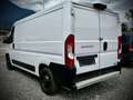 Fiat Ducato Mwst.Ausweisbar Weiß - thumbnail 6
