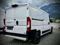 Fiat Ducato Mwst.Ausweisbar Weiß - thumbnail 8