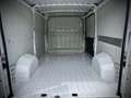 Fiat Ducato Mwst.Ausweisbar Weiß - thumbnail 9