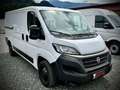Fiat Ducato Mwst.Ausweisbar Weiß - thumbnail 2