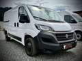 Fiat Ducato Mwst.Ausweisbar Weiß - thumbnail 1