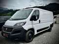 Fiat Ducato Mwst.Ausweisbar Weiß - thumbnail 4
