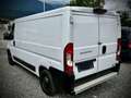 Fiat Ducato Mwst.Ausweisbar Weiß - thumbnail 7