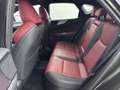 Lexus NX 450h+ AWD F SPORT Line | 360' Camera | Head-up Display | Grün - thumbnail 13
