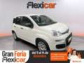 Fiat Panda Hybrid 1.0 Gse 51kw (70CV) Blanco - thumbnail 1